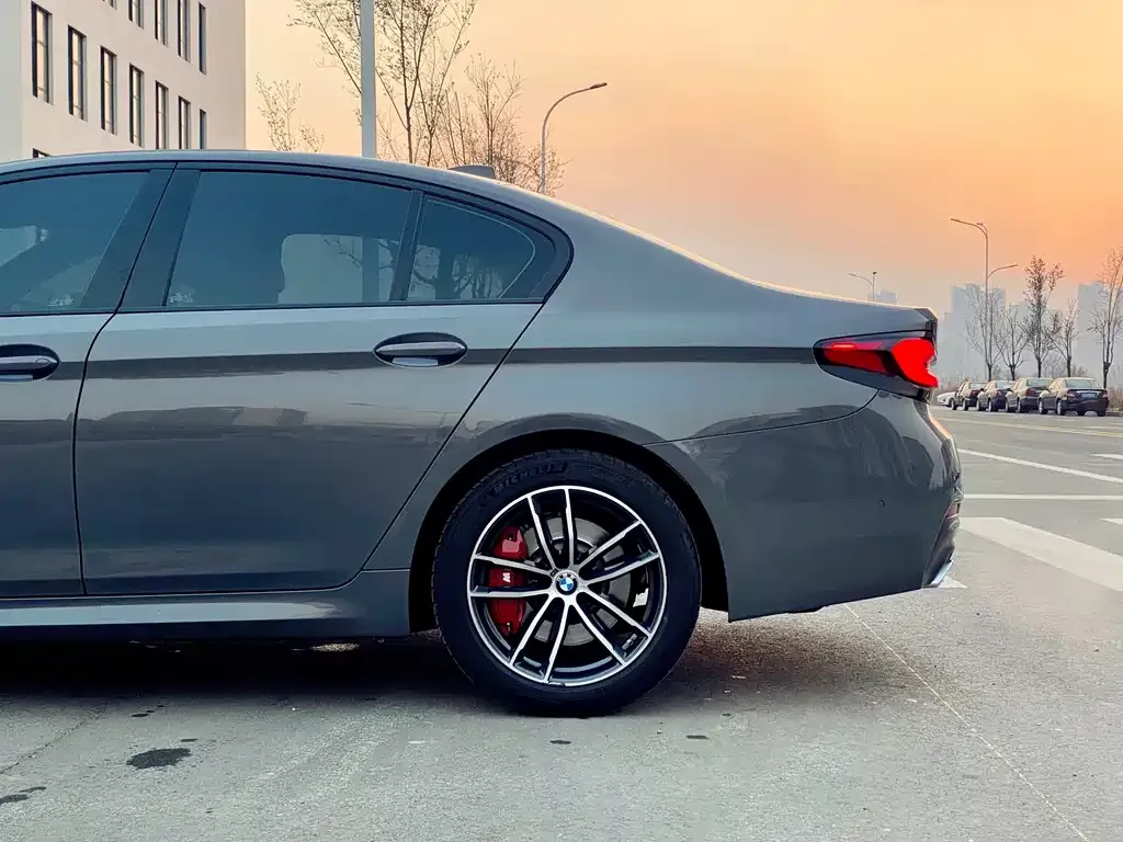 BMW 5 Series (Import) 2022 из CN, фото 9