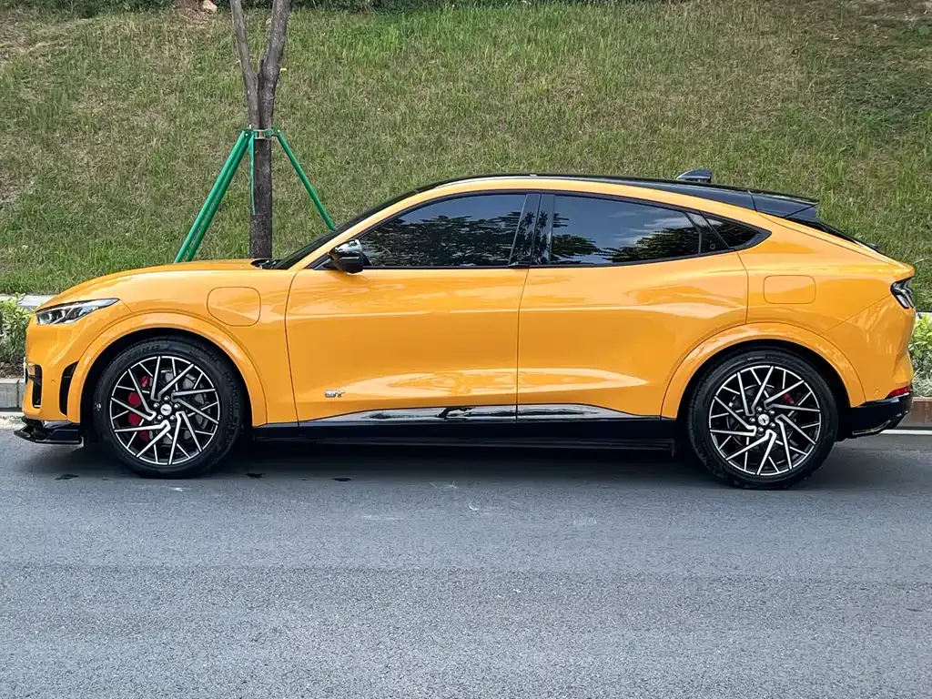 Ford Mustang Mach-E 2024 из CN, фото 3