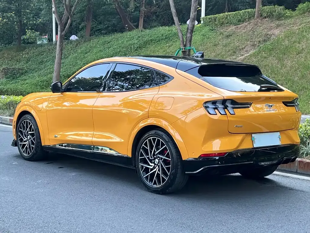 Ford Mustang Mach-E 2024 из CN, фото 4