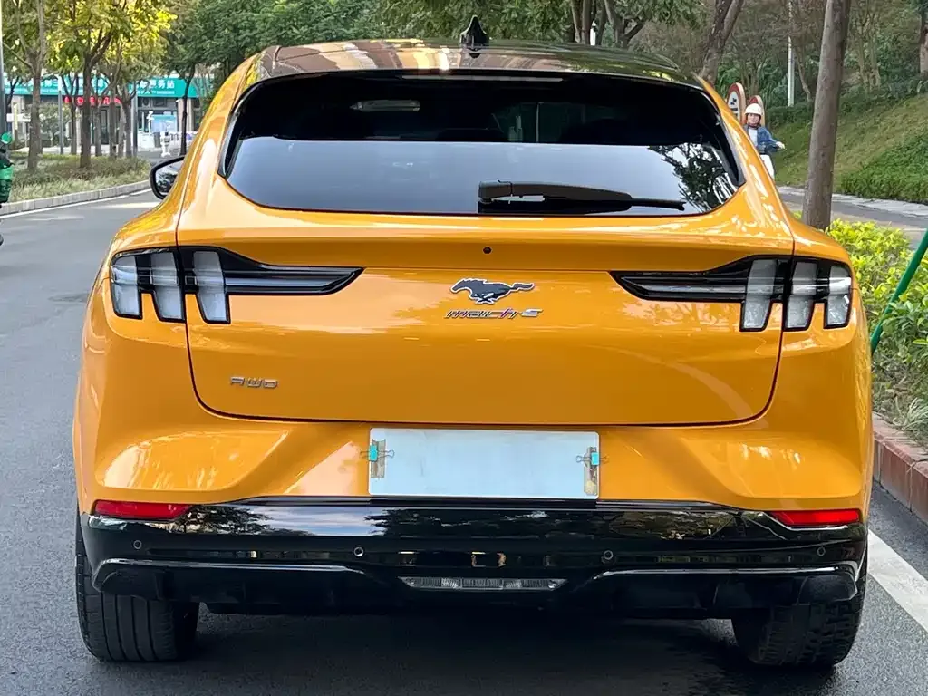 Ford Mustang Mach-E 2024 из CN, фото 5