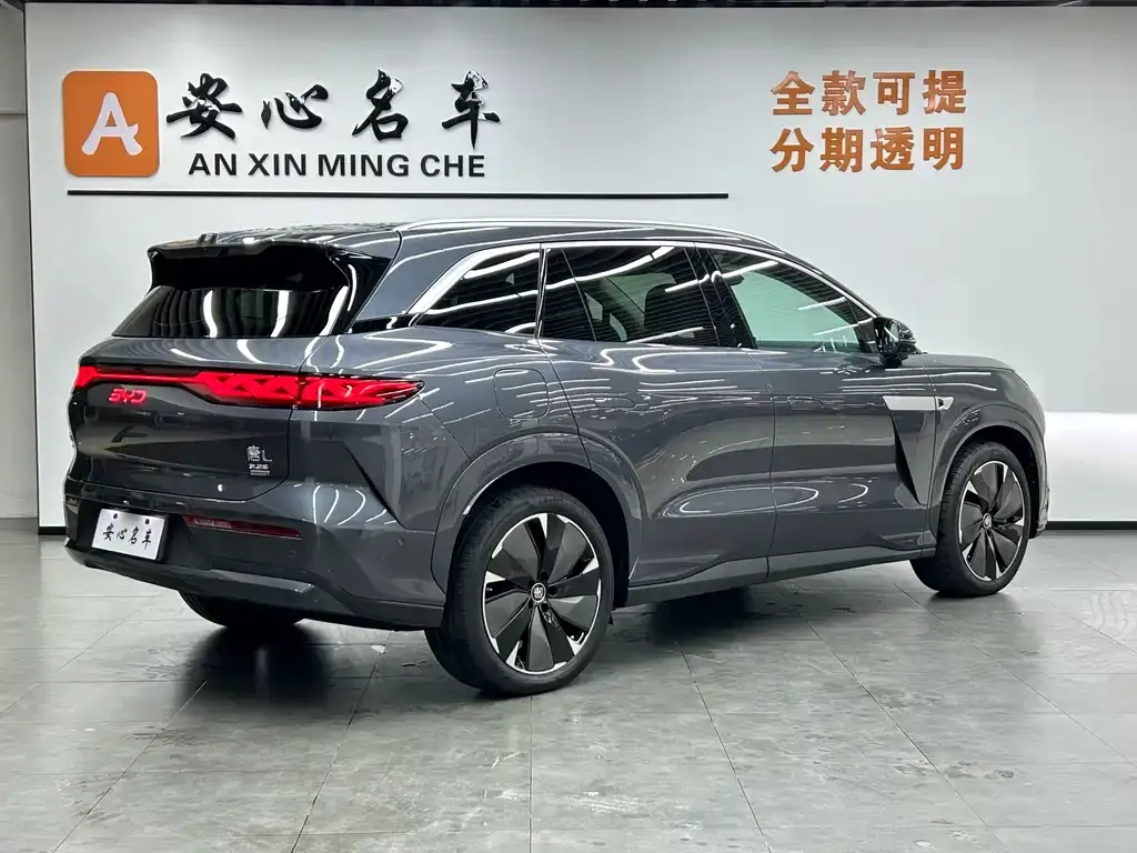 BYD Tang L 2025 из CN, фото 3