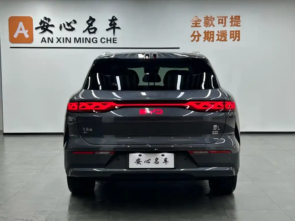 BYD Tang L 2025 из CN, фото 4