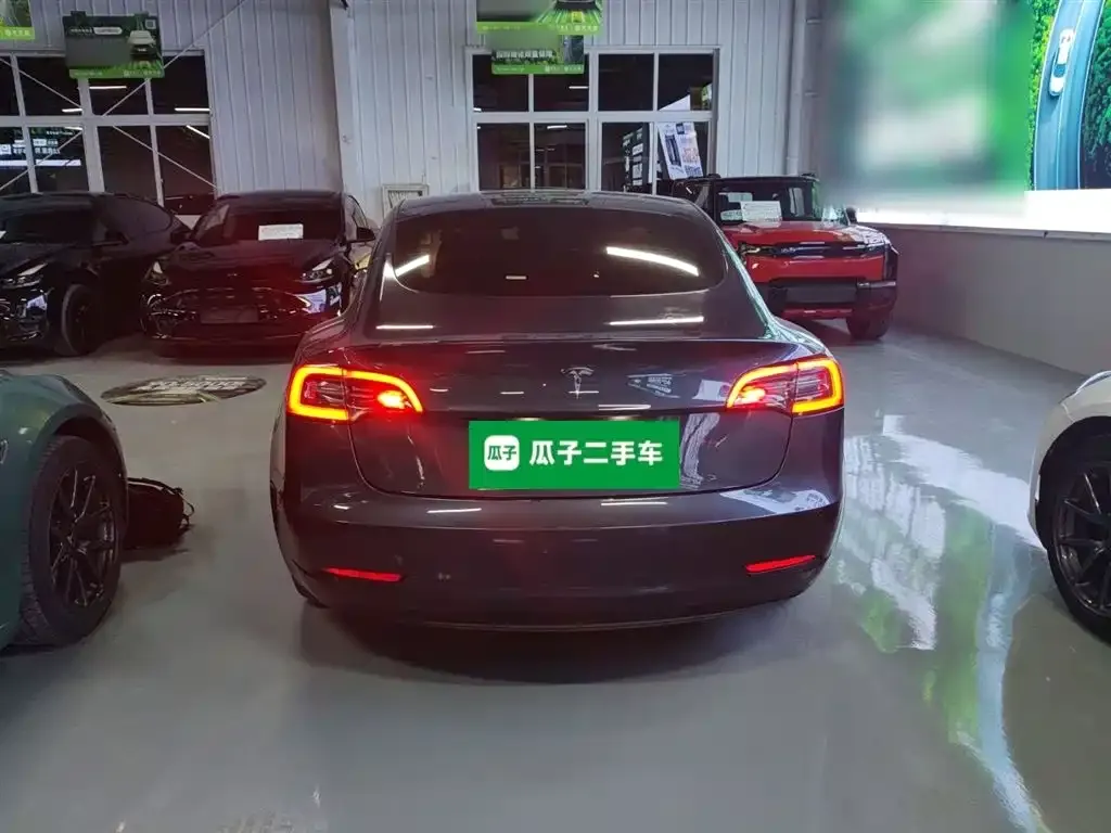 Tesla Model 3 2021 из CN, фото 6