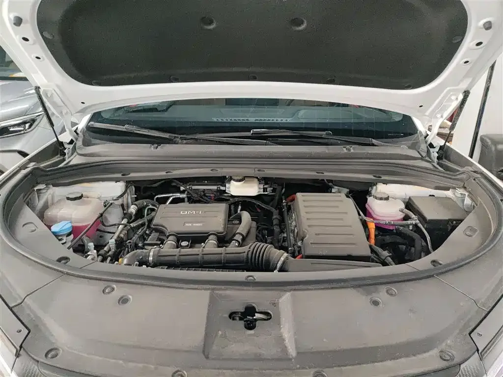 BYD L DM-i 2024 из CN, фото 10