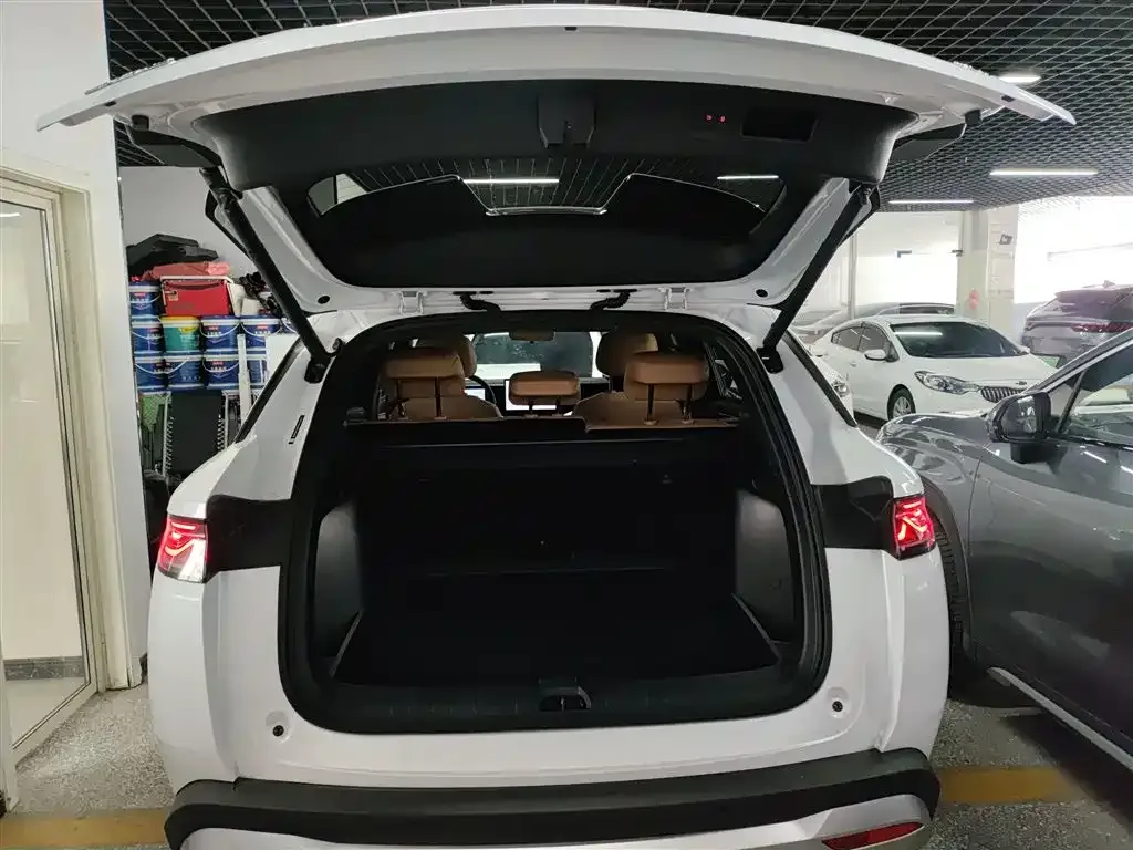 BYD L DM-i 2024 из CN, фото 9