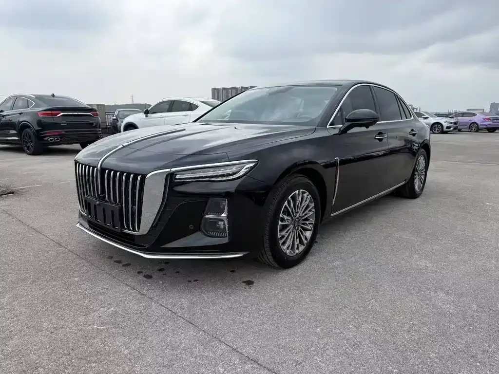 Hongqi H5 2023 из CN, фото 1