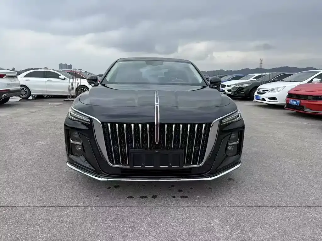 Hongqi H5 2023 из CN, фото 2