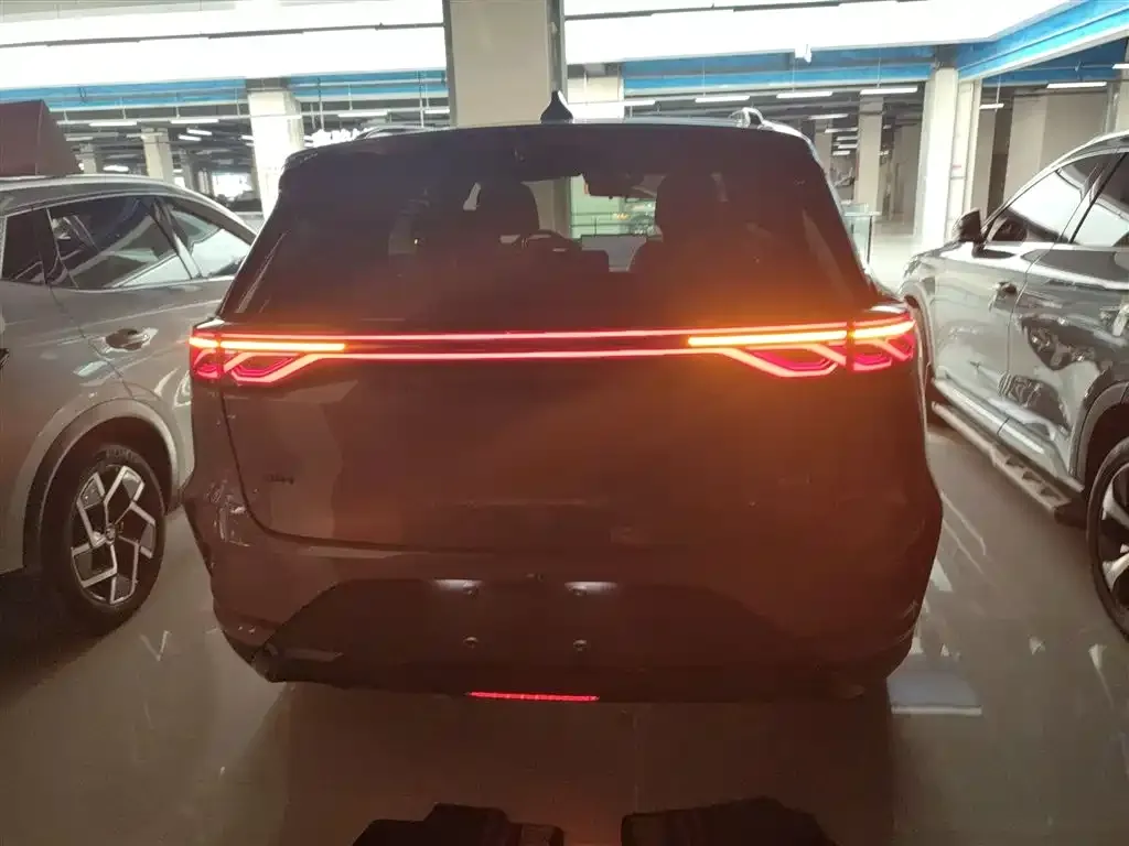 BYD Tang New Energy 2025 из CN, фото 6