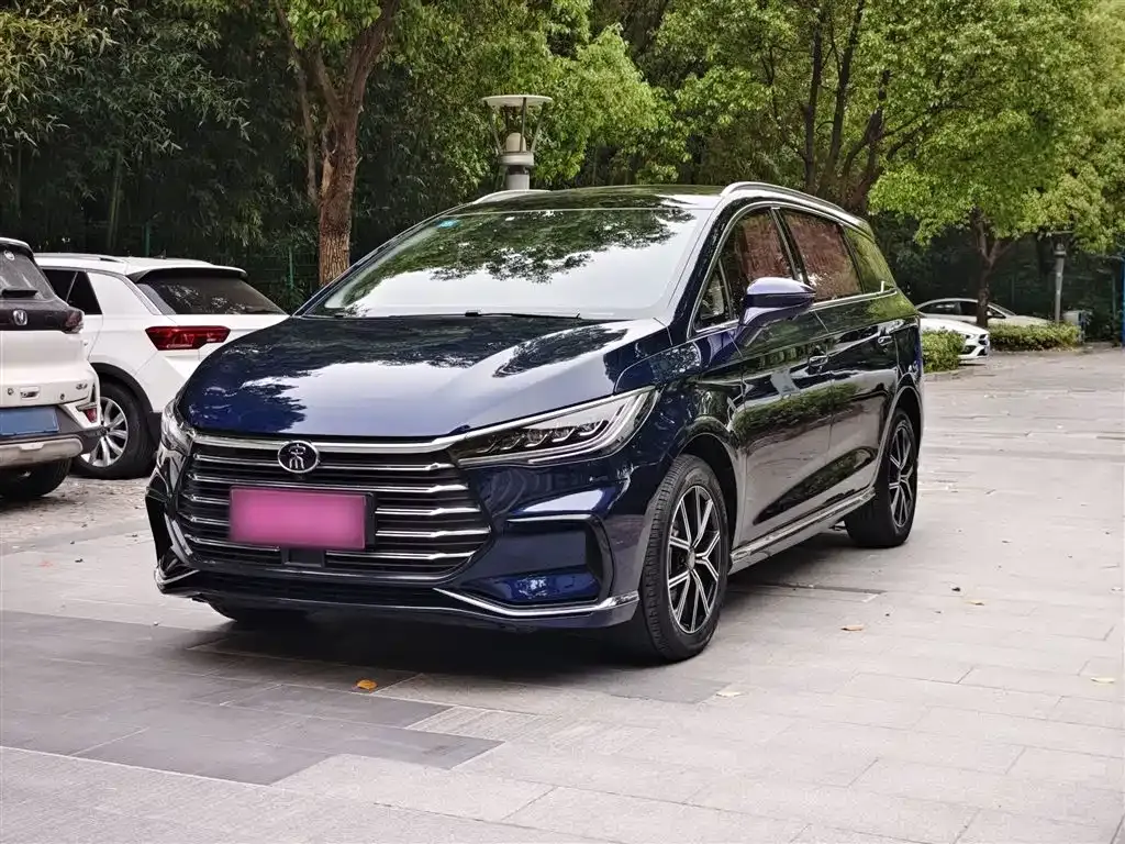 BYD MAX New Energy 2023 из CN, фото 2
