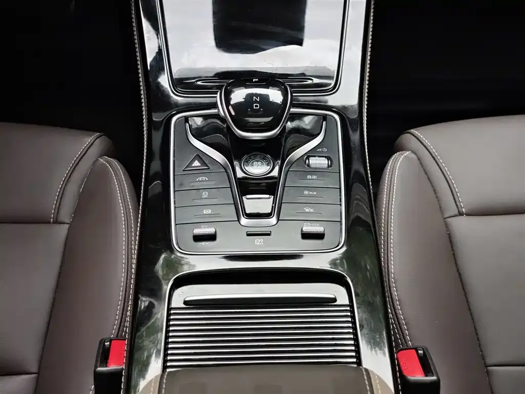 BYD MAX New Energy 2023 из CN, фото 7
