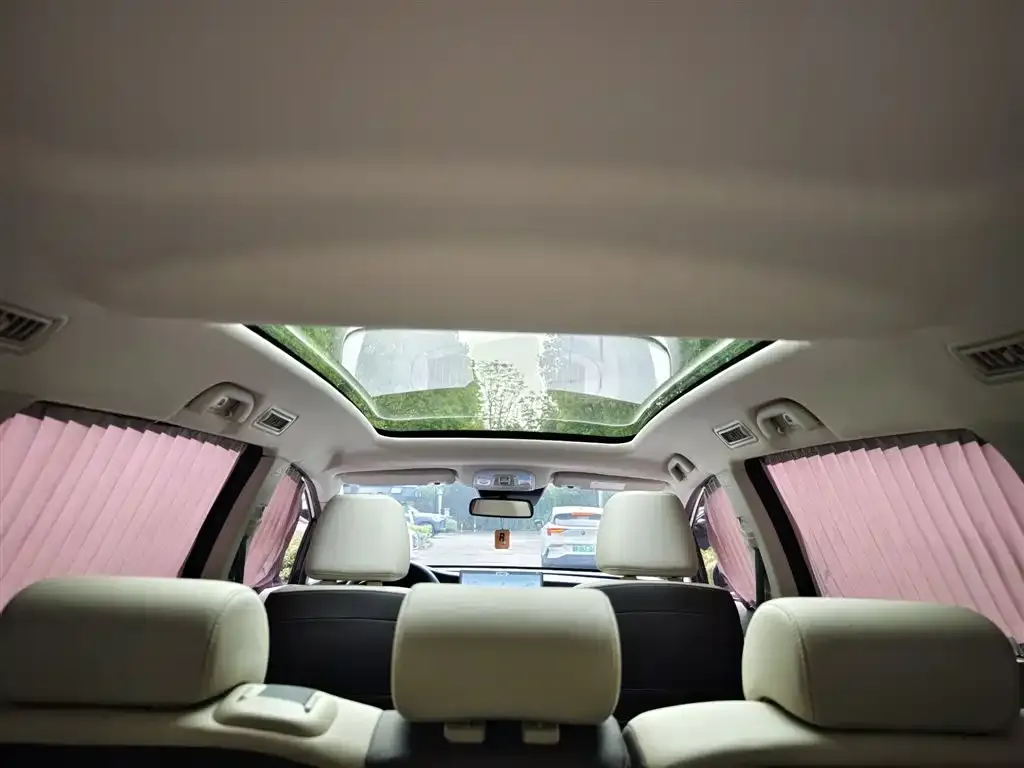BYD MAX New Energy 2023 из CN, фото 9