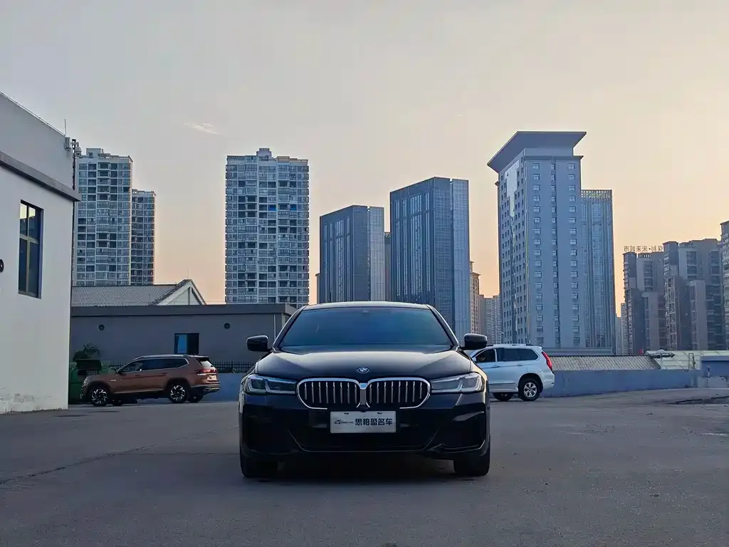 BMW 5 Series New Energy 2023 из CN, фото 2