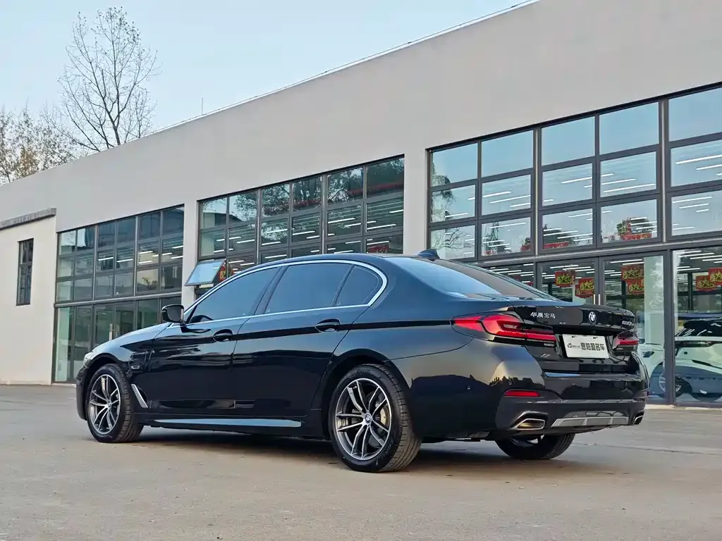 BMW 5 Series New Energy 2023 из CN, фото 8