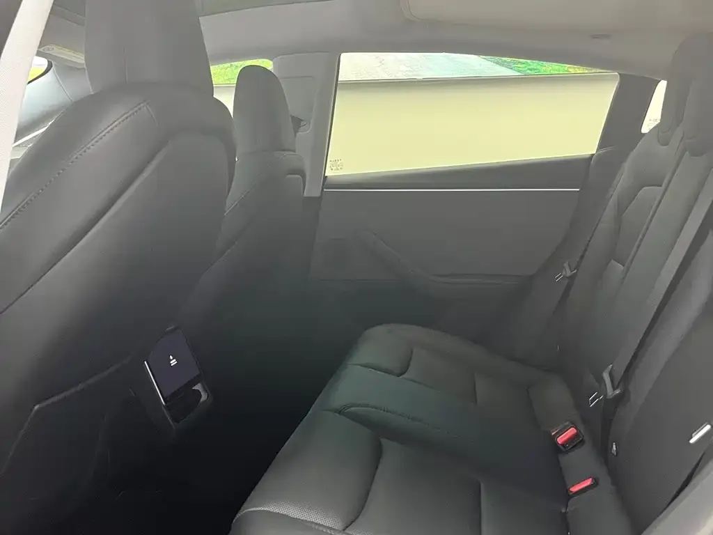 Tesla Model 3 2024 из CN, фото 9