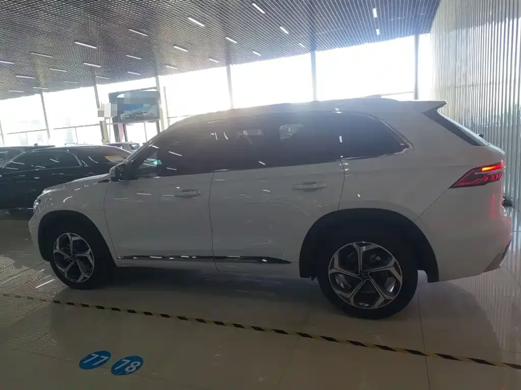 Geely Xingyue L 2024 из CN, фото 5