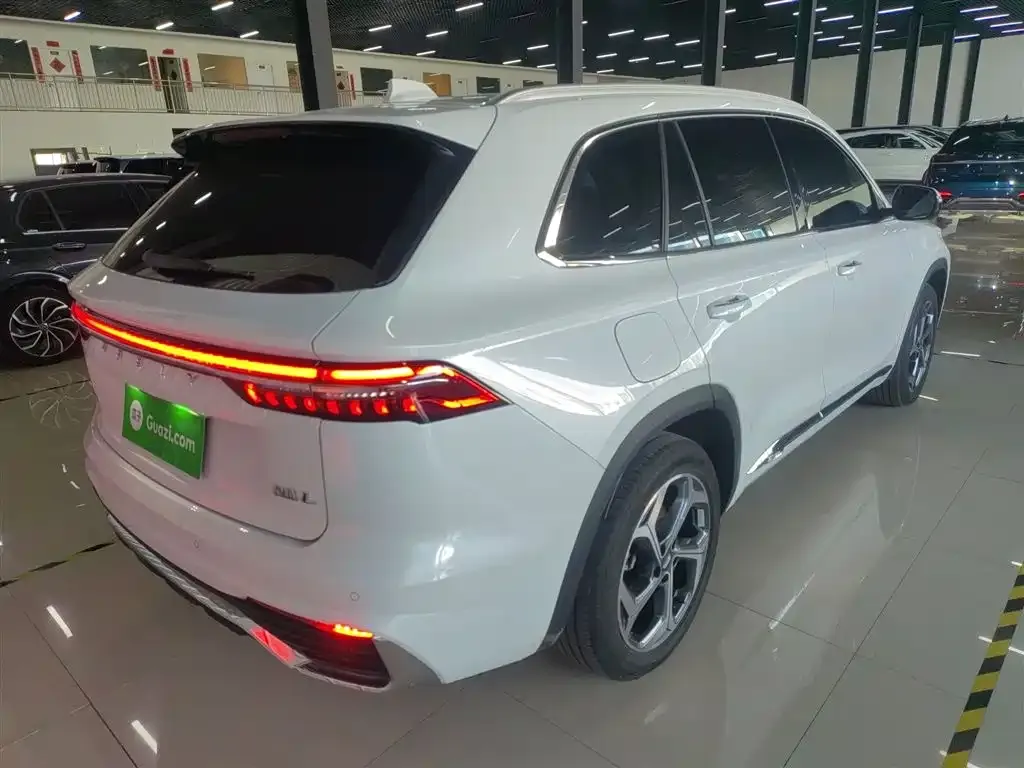 Geely Xingyue L 2024 из CN, фото 7