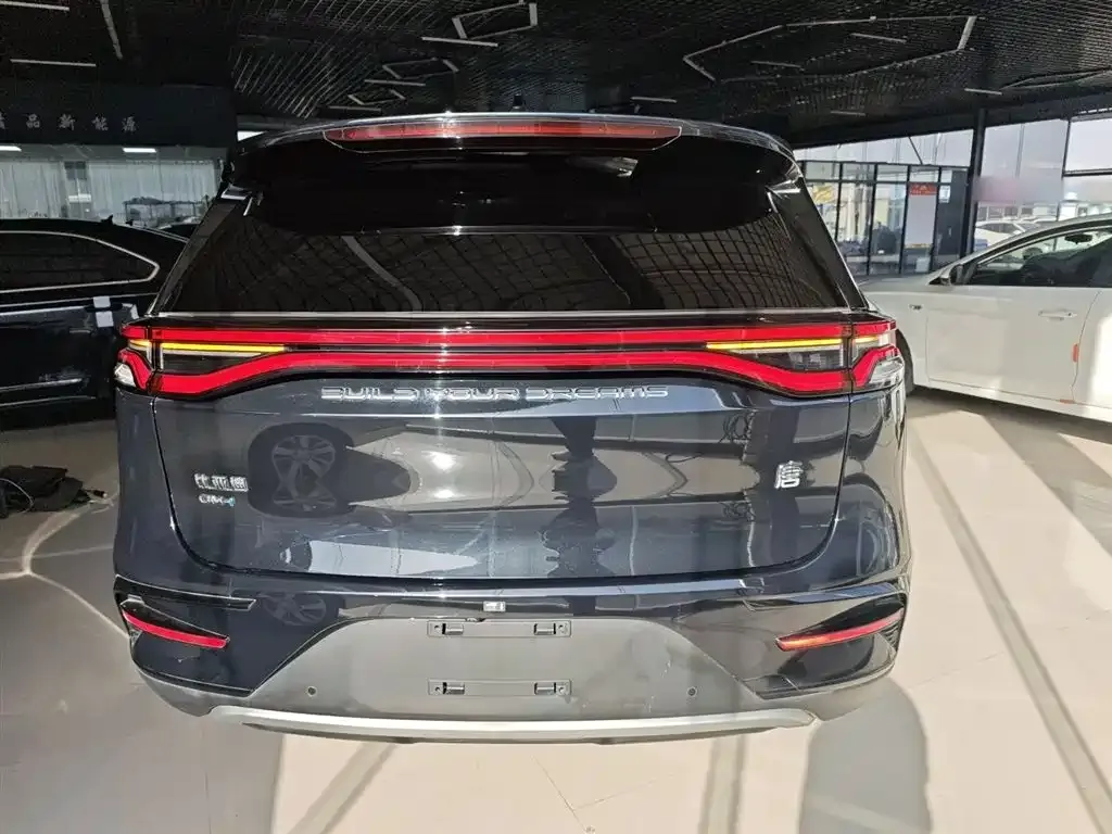 BYD Tang New Energy 2021 из CN, фото 6