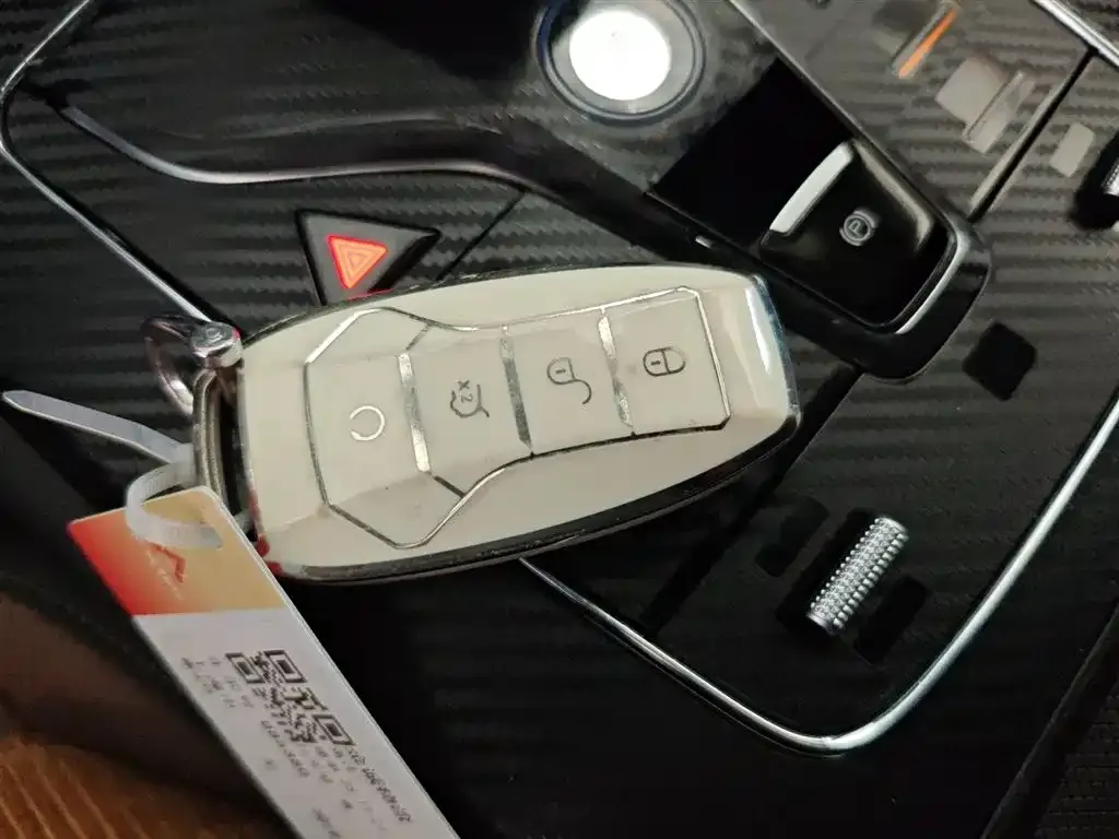BYD Tang New Energy 2021 из CN, фото 9