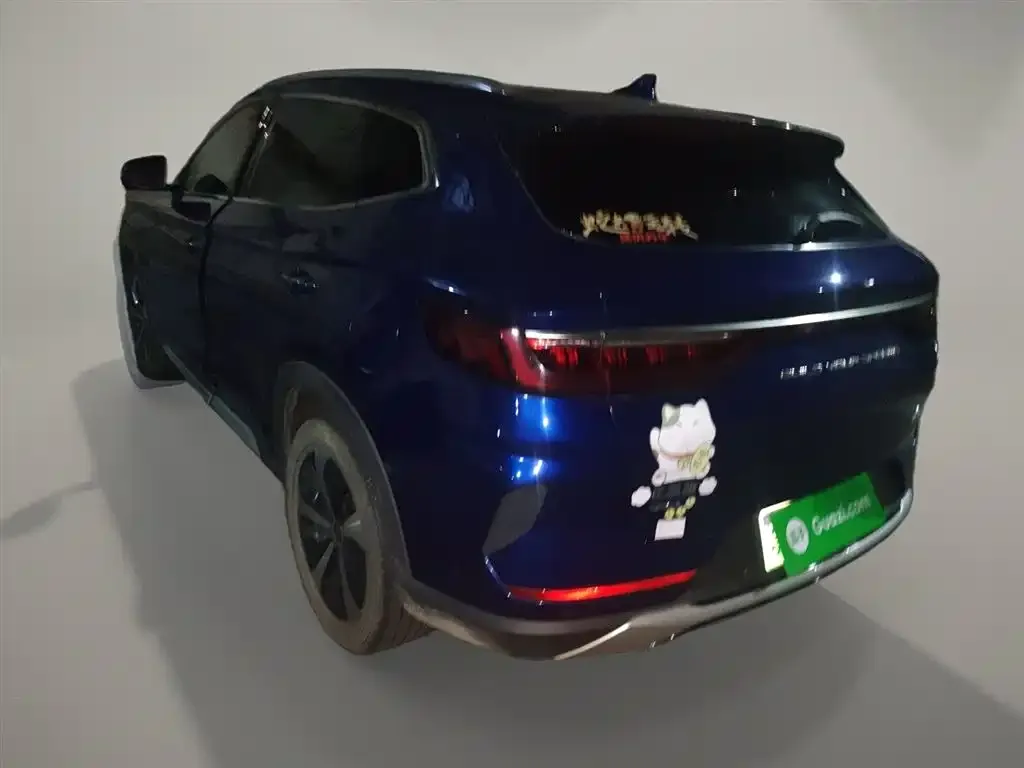 BYD PLUS New Energy 2022 из CN, фото 5