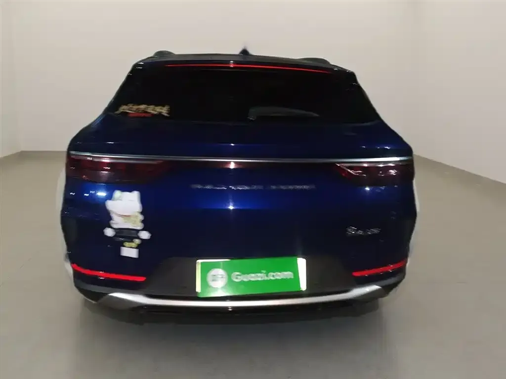 BYD PLUS New Energy 2022 из CN, фото 6