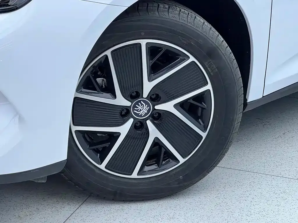 BYD Qin L 2025 из CN, фото 8