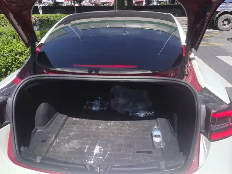 Tesla Model 3 2021 из CN, фото 4