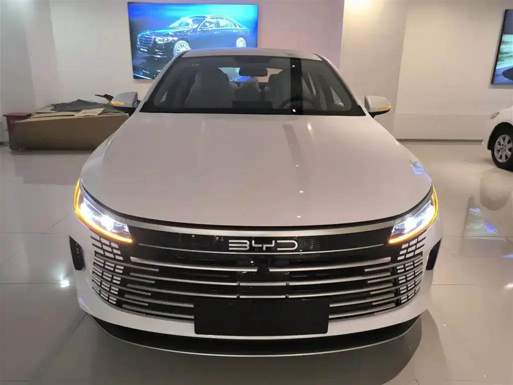 BYD Destroyer 05 2025 из CN, фото 3