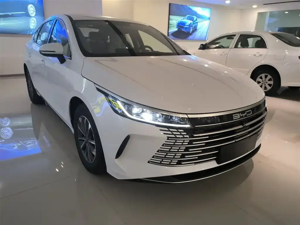 BYD Destroyer 05 2025 из CN, фото 4