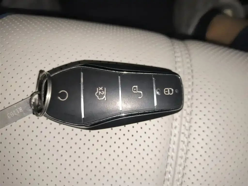 BYD Destroyer 05 2025 из CN, фото 9