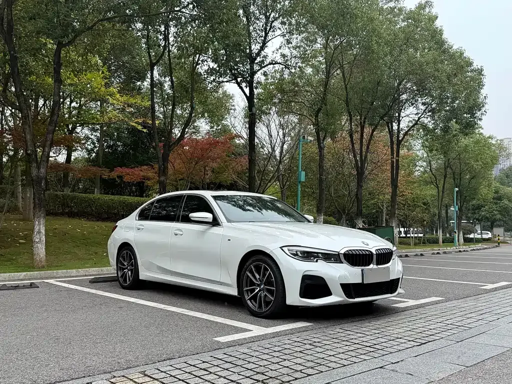 BMW 3 Series 2022 из CN, фото 3