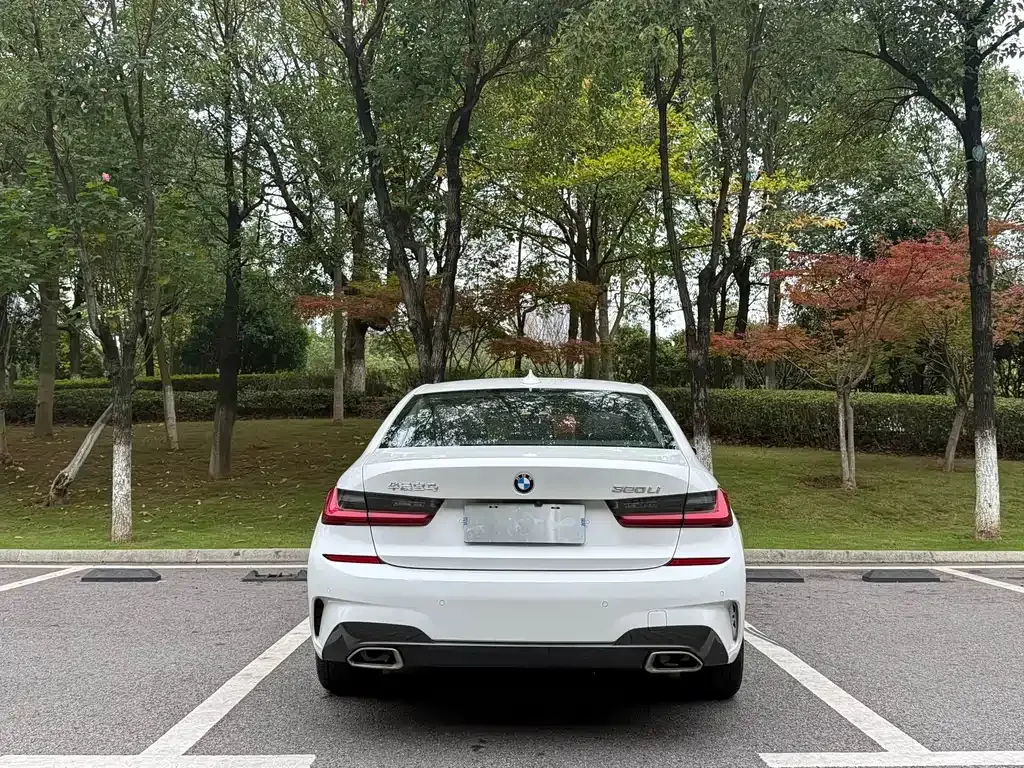 BMW 3 Series 2022 из CN, фото 8