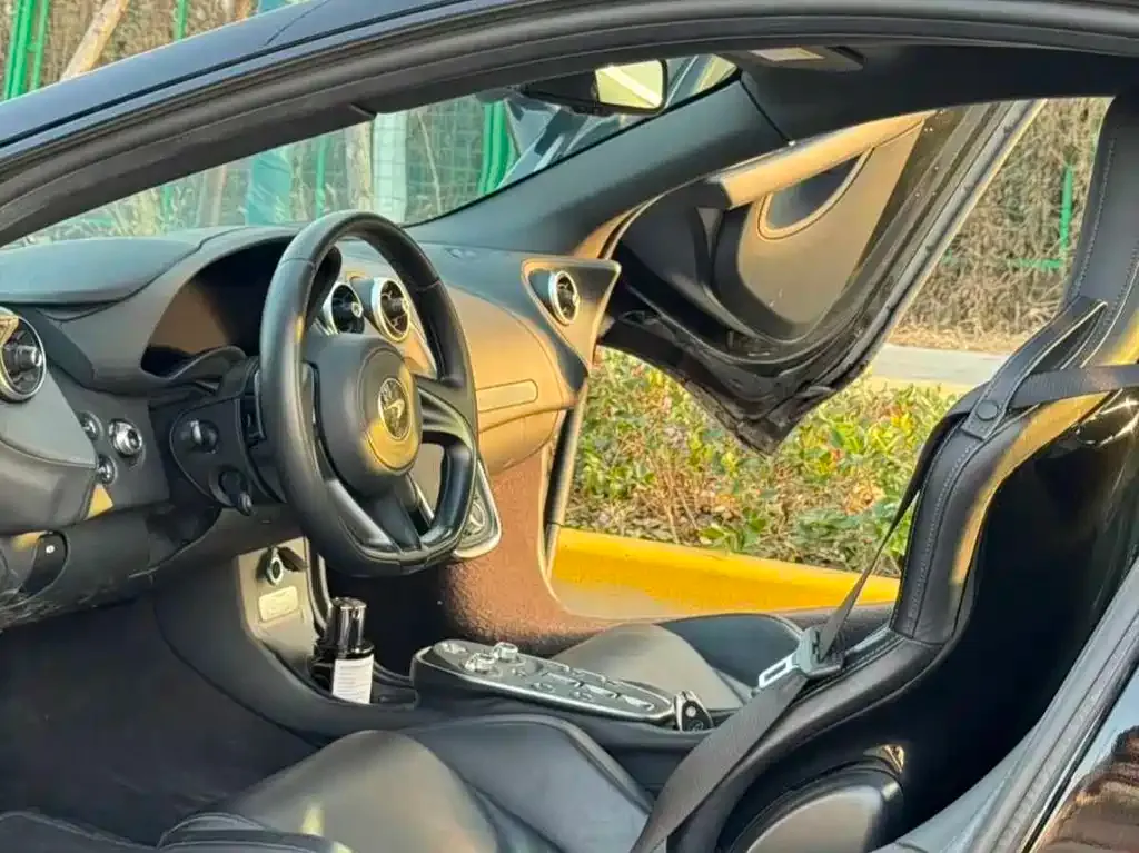 McLaren GT 2022 из CN, фото 4