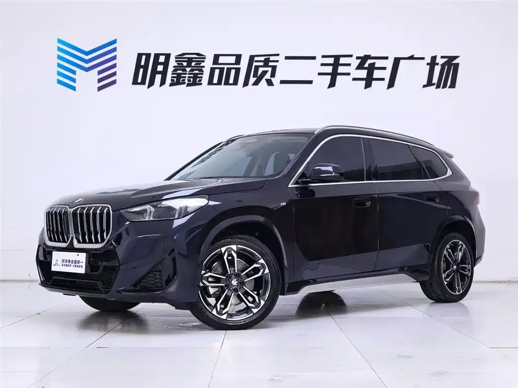 BMW X1 — фото 2