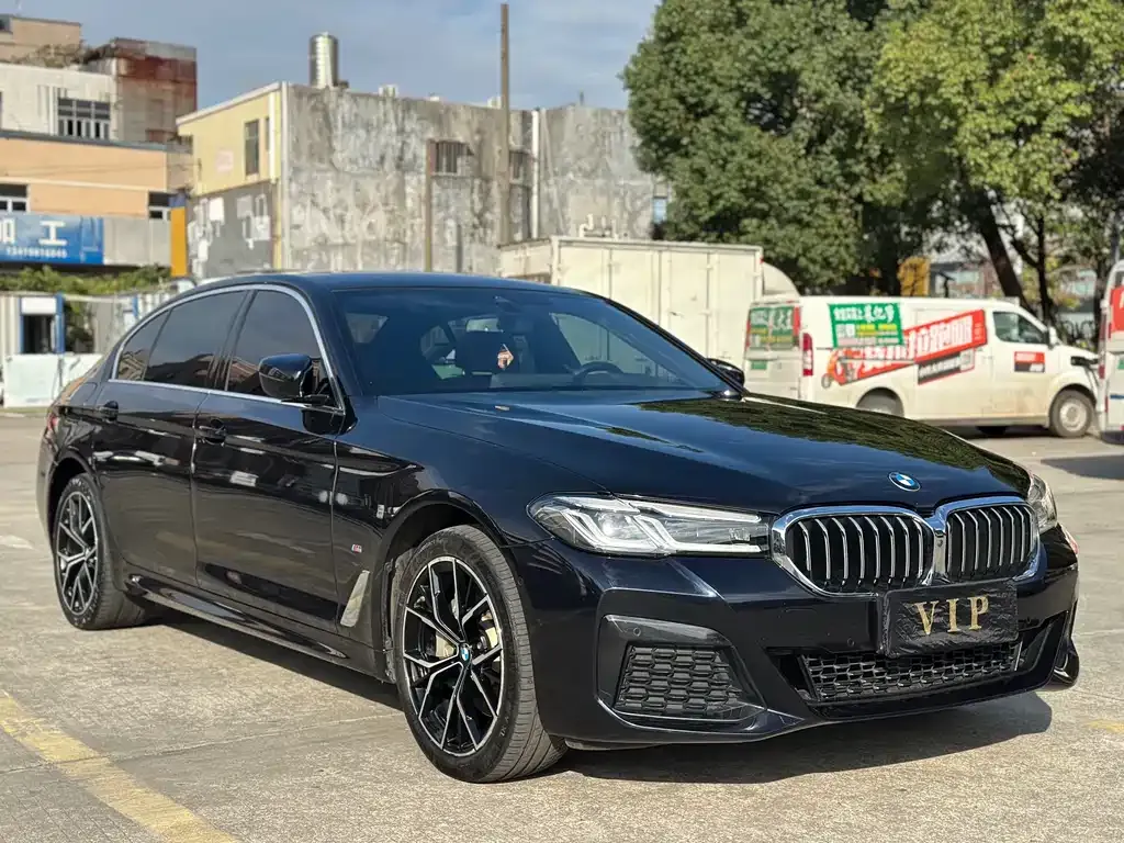 BMW 5 Series 2024 из CN, фото 4