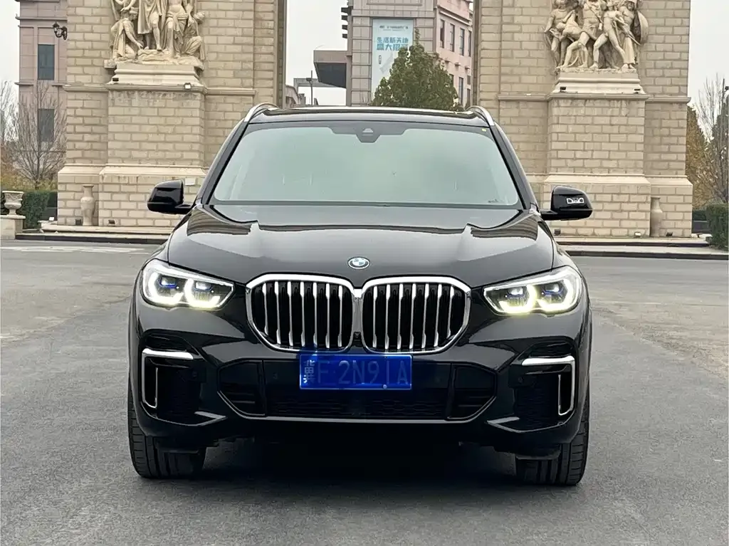 BMW X5 2023 из CN, фото 2