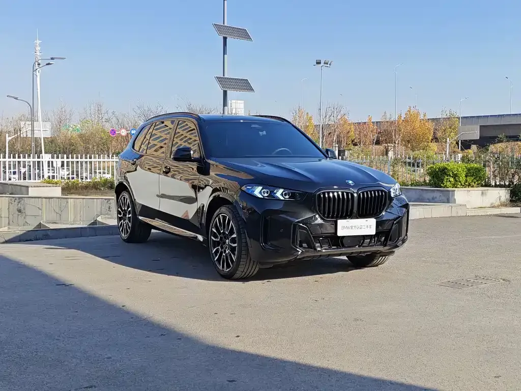 BMW X5 2025 из CN, фото 3