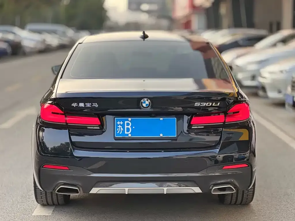 BMW 5 Series 2023 из CN, фото 4