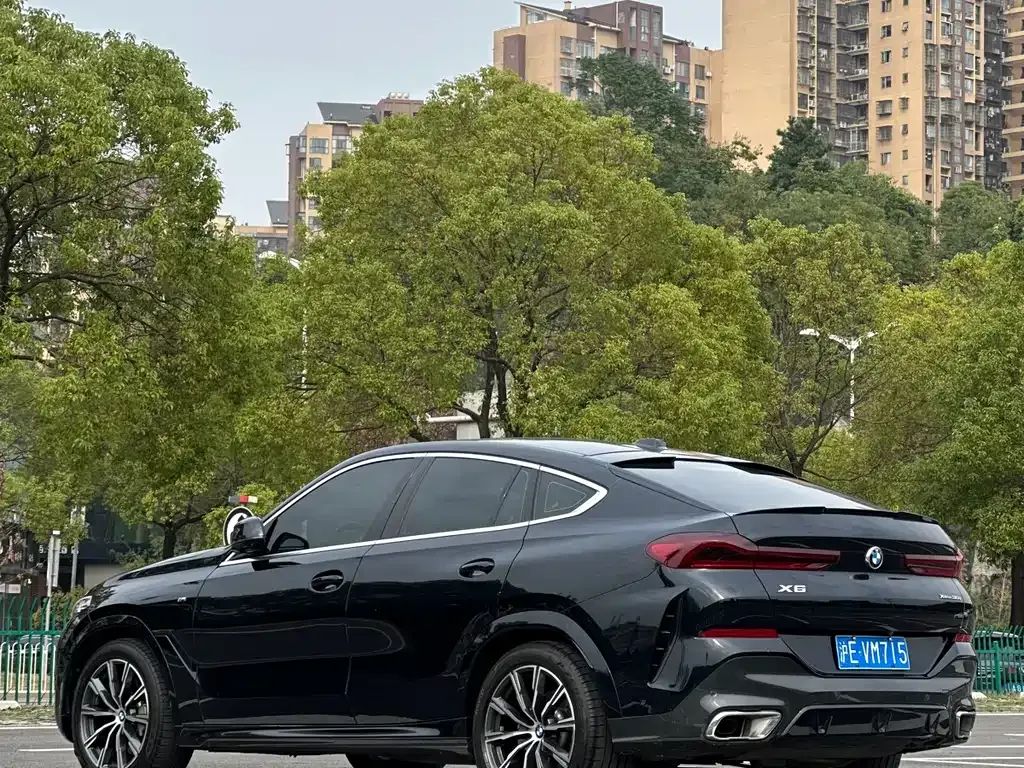 BMW X6 2024 из CN, фото 10