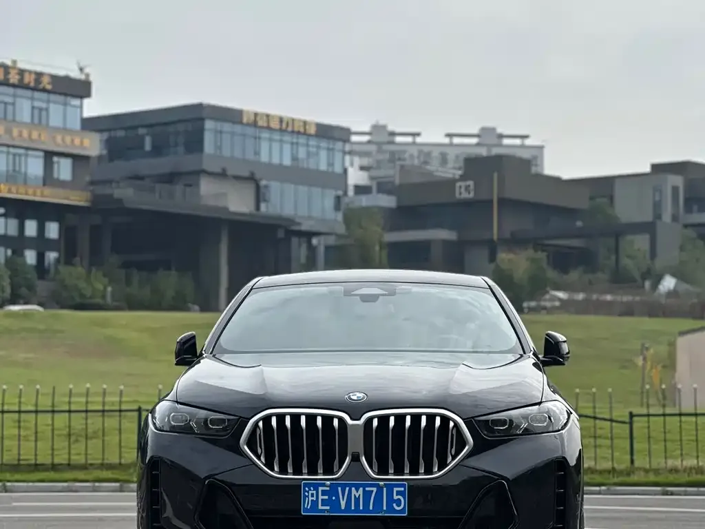 BMW X6 2024 из CN, фото 2