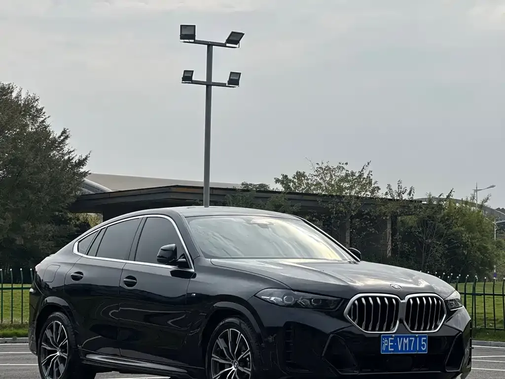 BMW X6 2024 из CN, фото 3