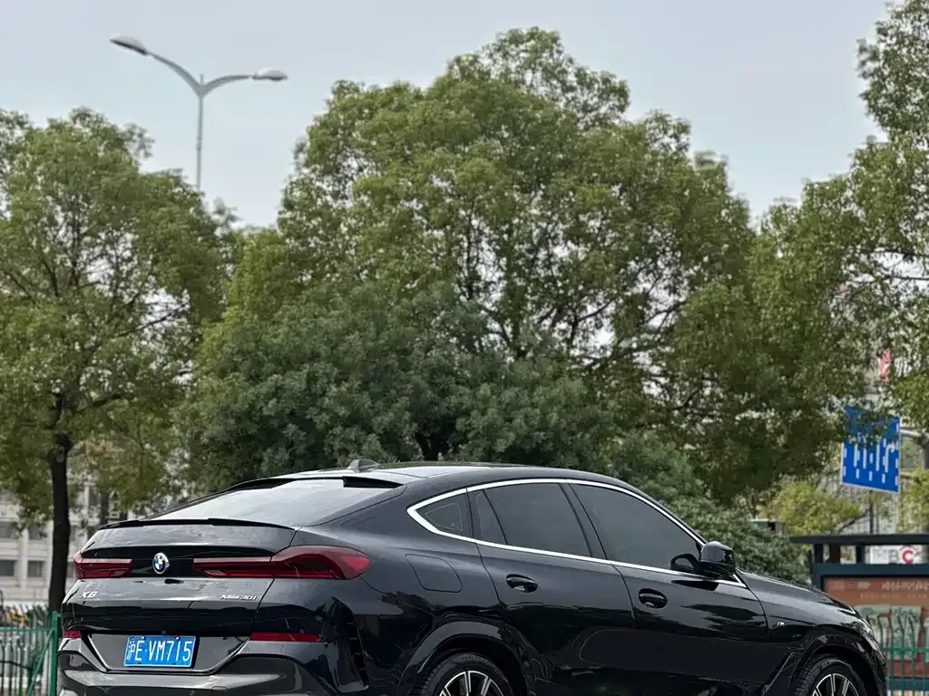 BMW X6 2024 из CN, фото 4