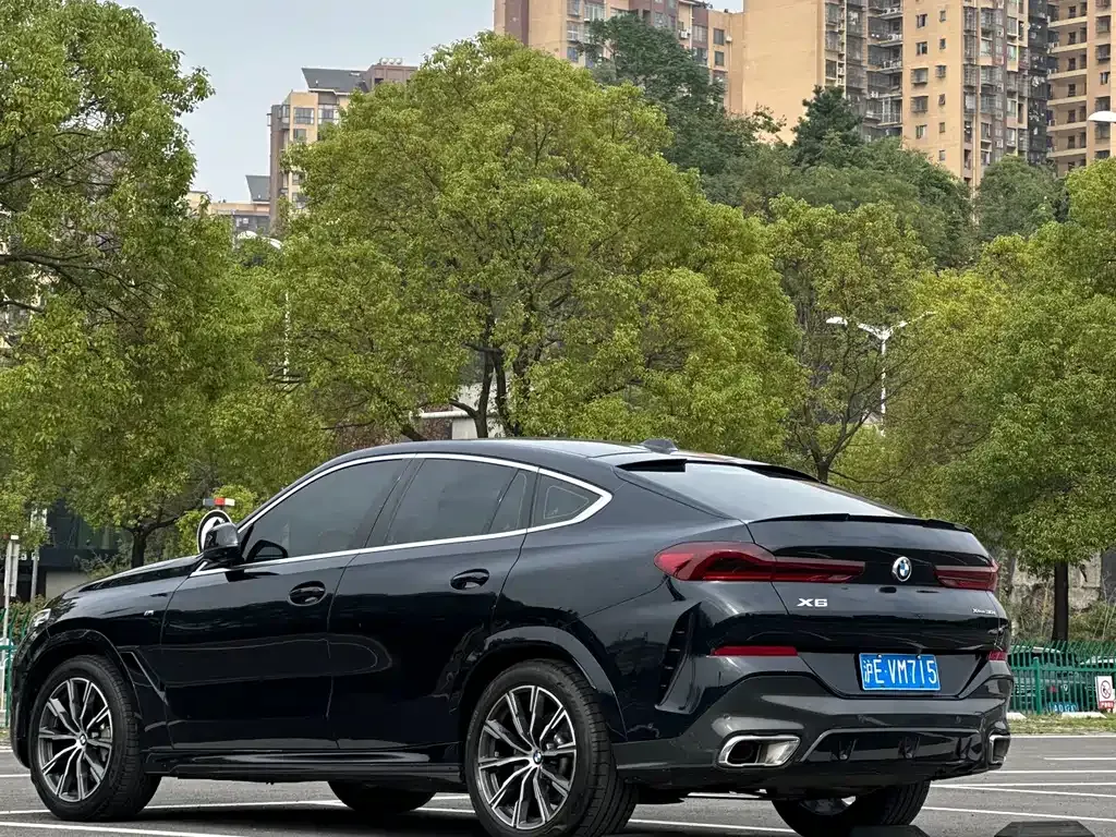 BMW X6 2024 из CN, фото 6
