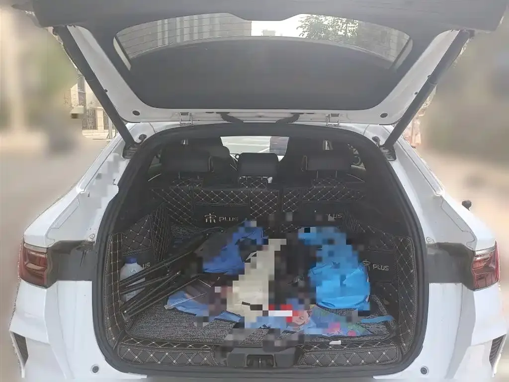 BYD PLUS New Energy — фото 10