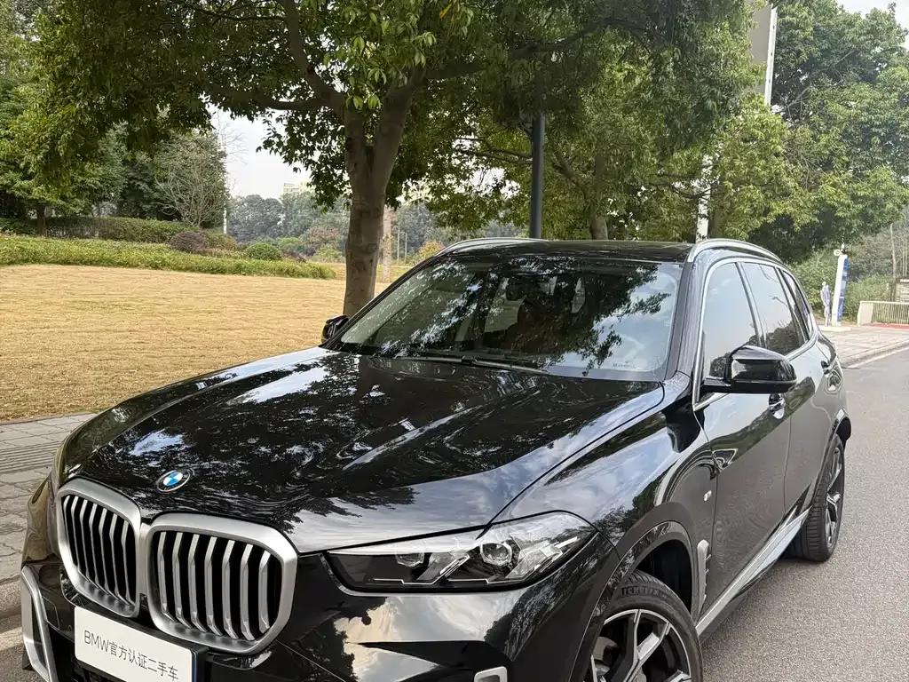 BMW X5 2025 из CN, фото 1