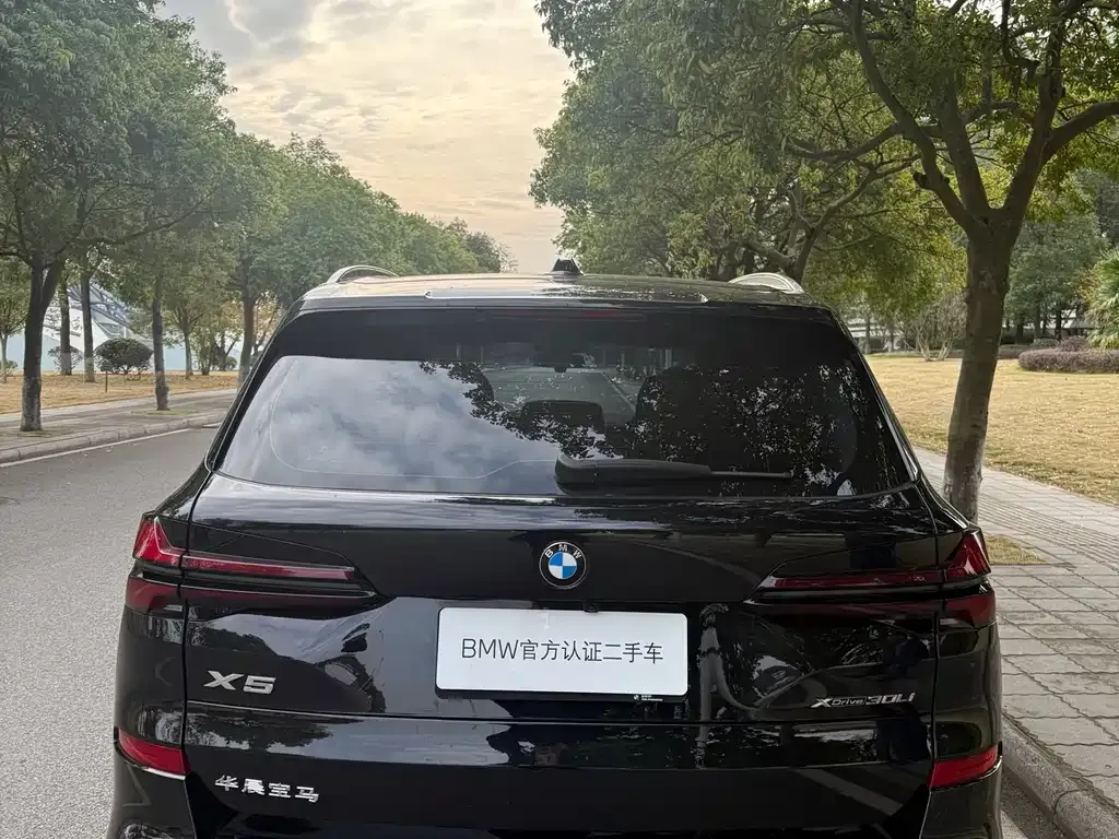 BMW X5 2025 из CN, фото 5