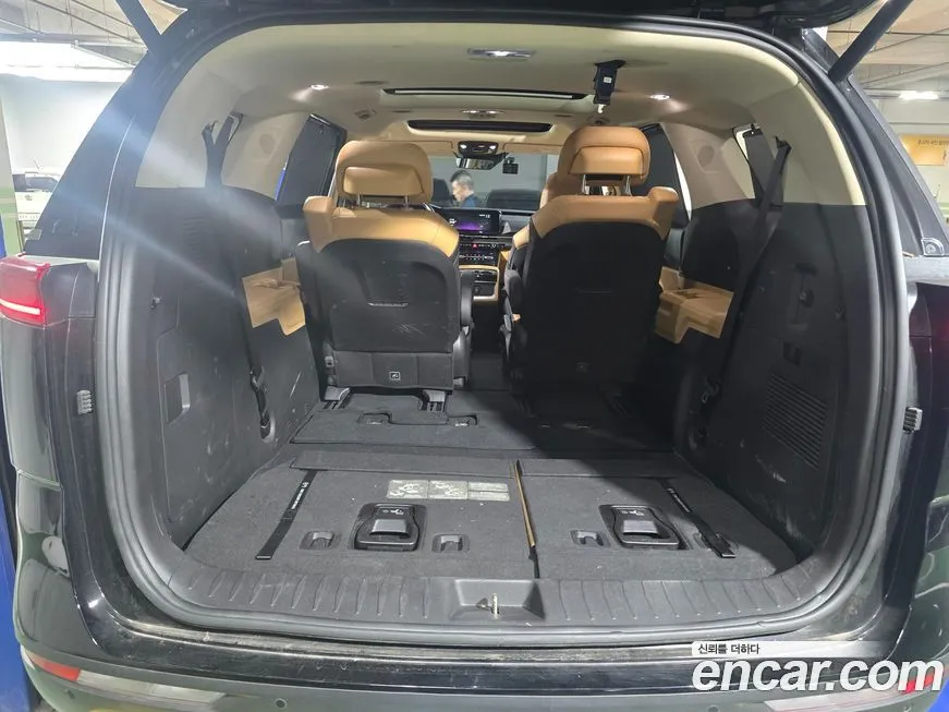 Kia Carnival — фото 10