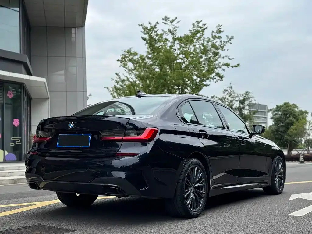 BMW 3 Series 2021 из CN, фото 9