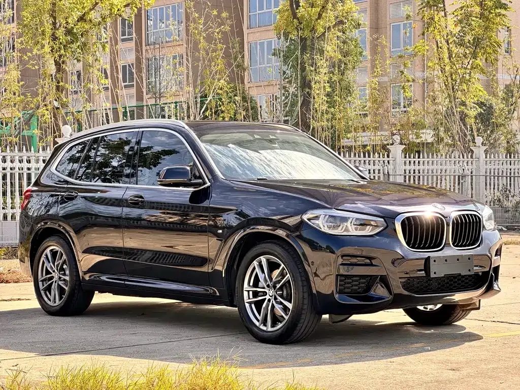 BMW X3 2021 из CN, фото 2
