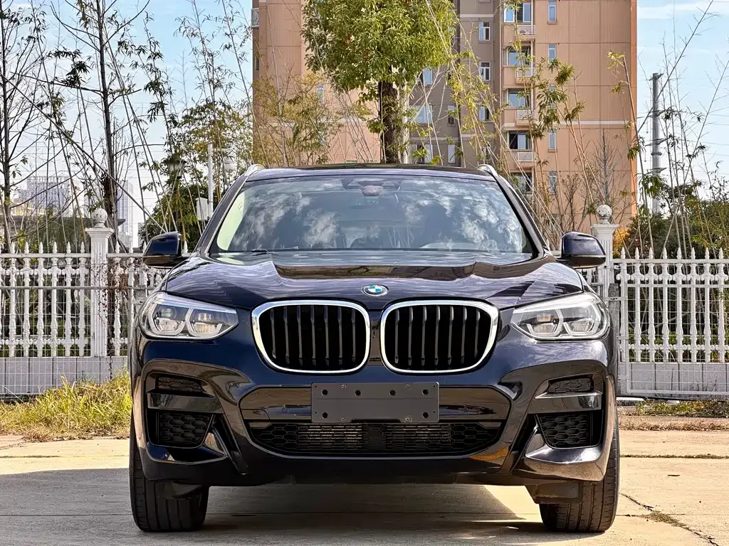 BMW X3 2021 из CN, фото 4