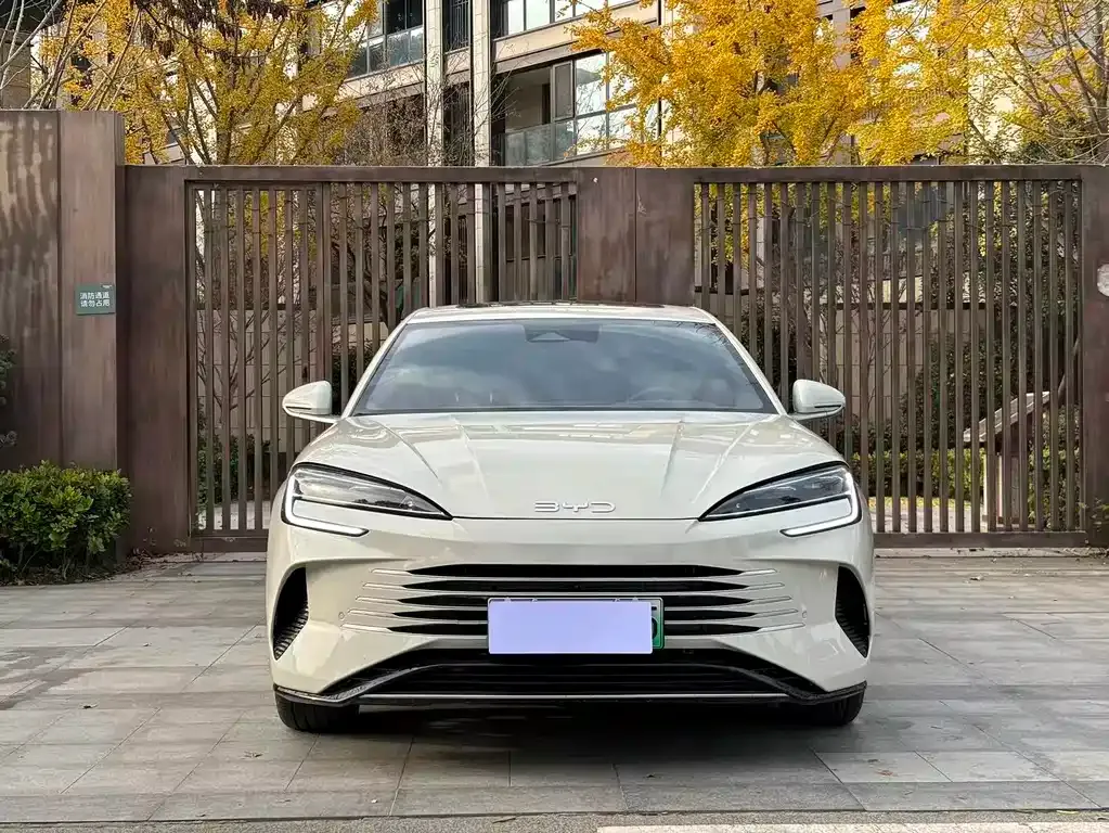 BYD Seal 07 DM-i 2025 из CN, фото 2